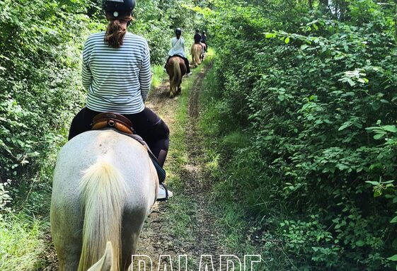 Rando cheval_20260424_120420_0000.jpg