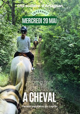 Rando cheval.jpg
