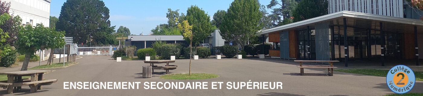 Design sans titre.jpg